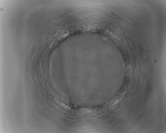 X0000059100913200510211628