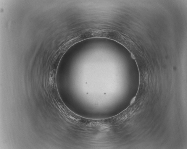 X0000059100914200510211628