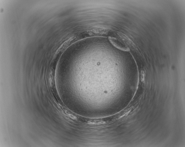 X0000059100915200510211628