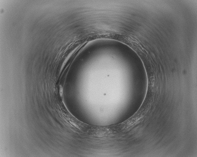 X0000059100916200510211628