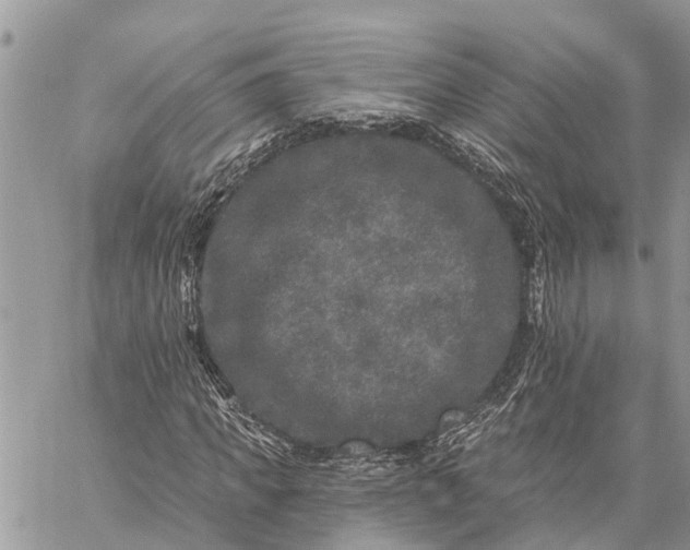 X0000059100917200510211628