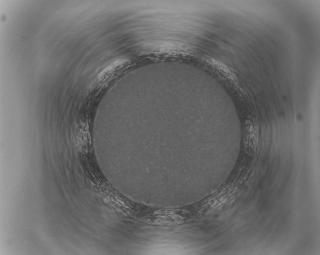 X0000059100918200510211628