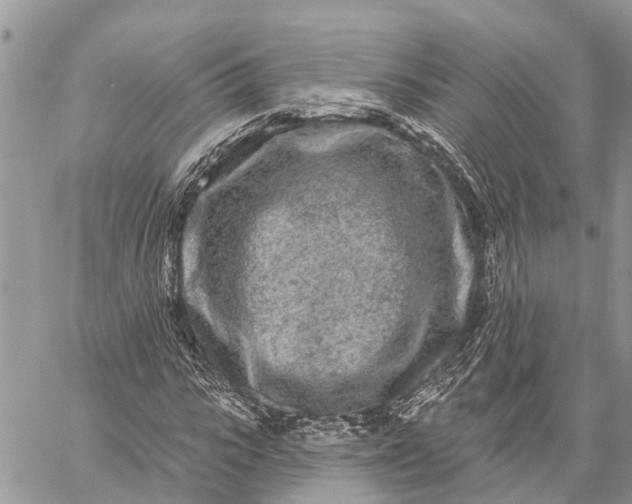 X0000059100919200510211628