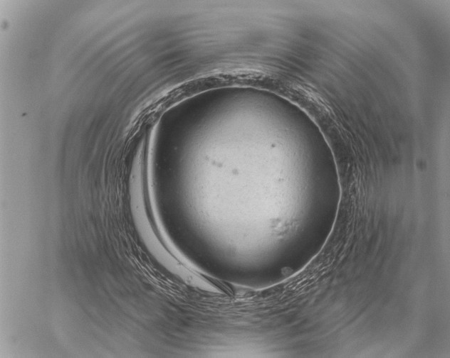 X0000059100920200510211628