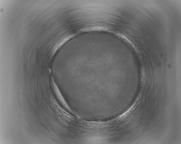 X0000059100921200510211628