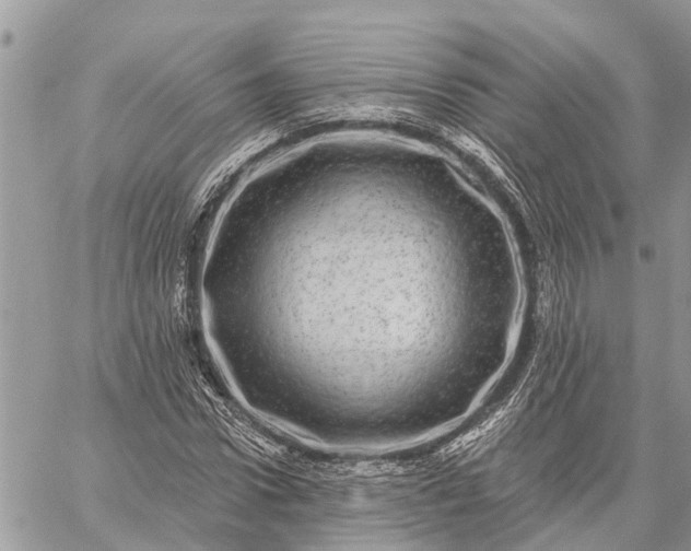 X0000059100922200510211628