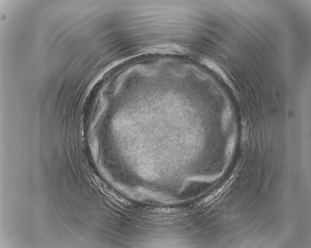 X0000059100923200510211628