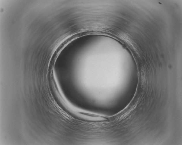 X0000059100924200510211628