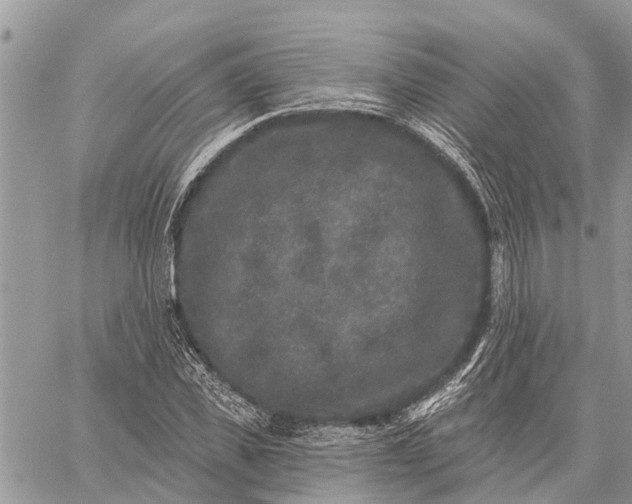 X0000059100925200510211628