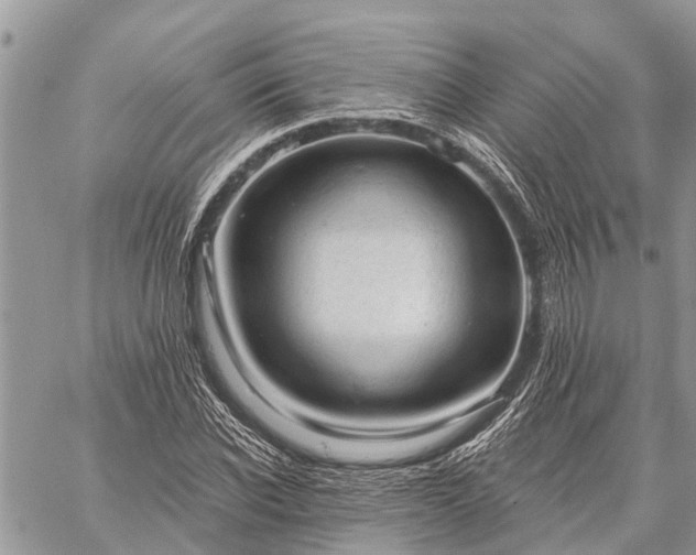 X0000059100926200510211628