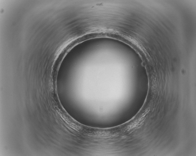 X0000059100927200510211628