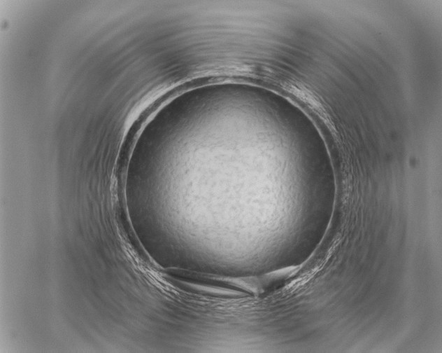 X0000059100928200510211629