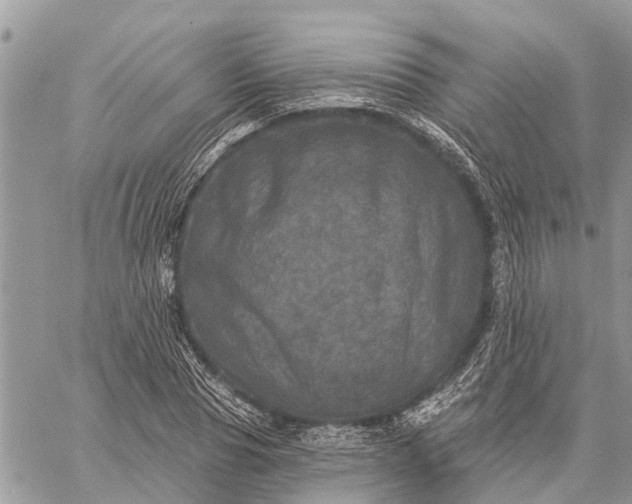 X0000059100929200510211629