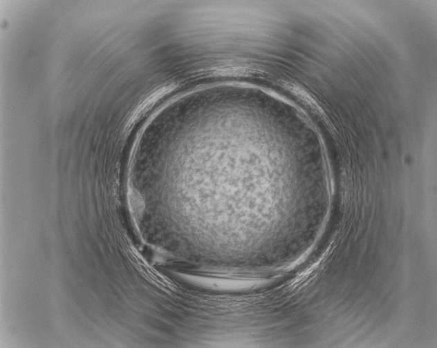 X0000059100930200510211629