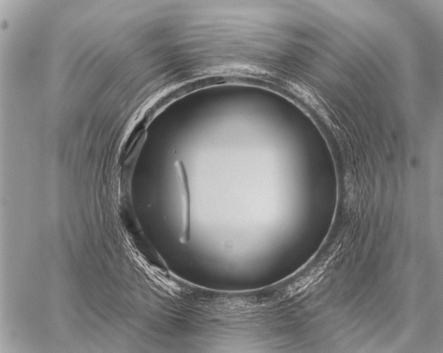 X0000059100931200510211629