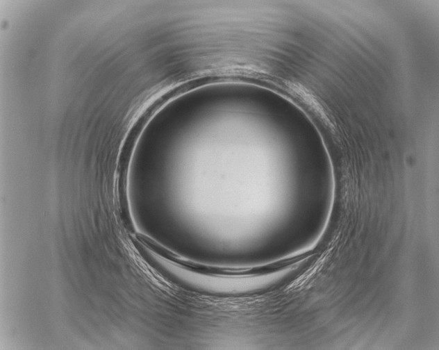 X0000059100932200510211629