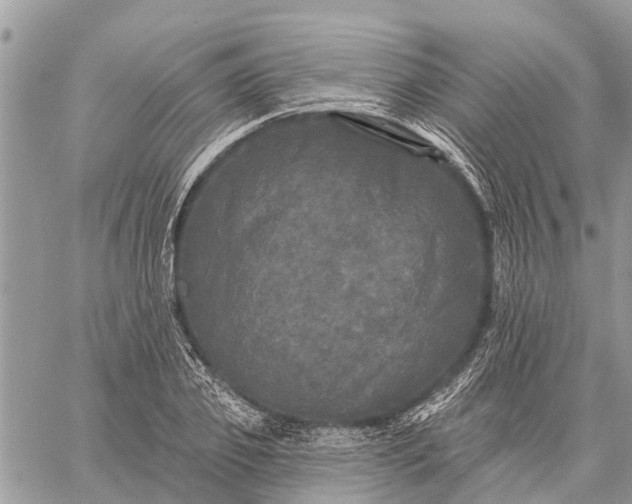 X0000059100933200510211629