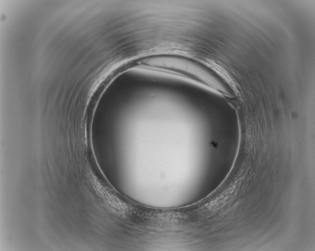 X0000059100934200510211629