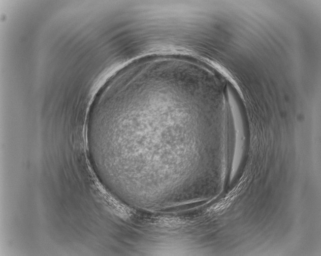 X0000059100935200510211629