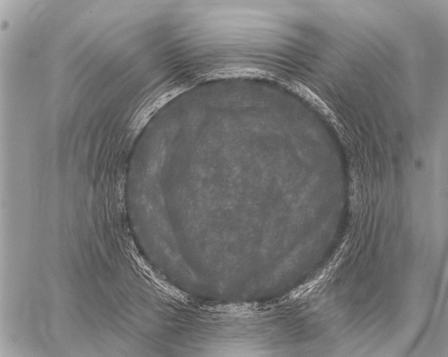 X0000059100937200510211629