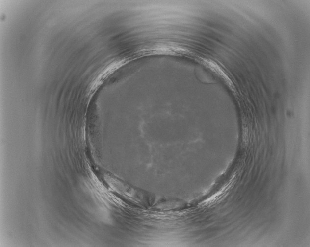 X0000059100938200510211629