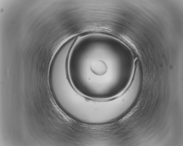 X0000059100940200510211629