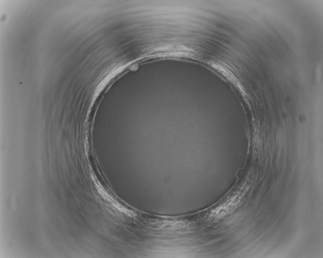 X0000059100941200510211629