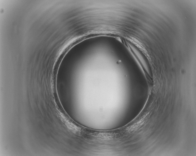 X0000059100942200510211629