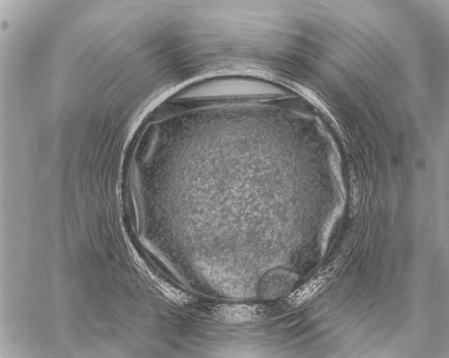 X0000059100943200510211629