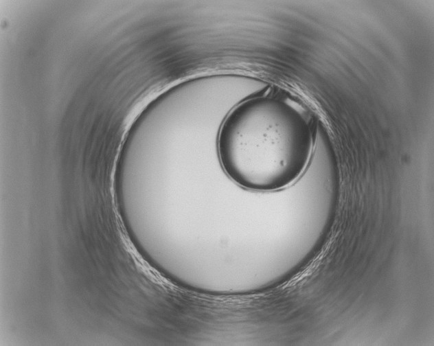 X0000059100944200510211629