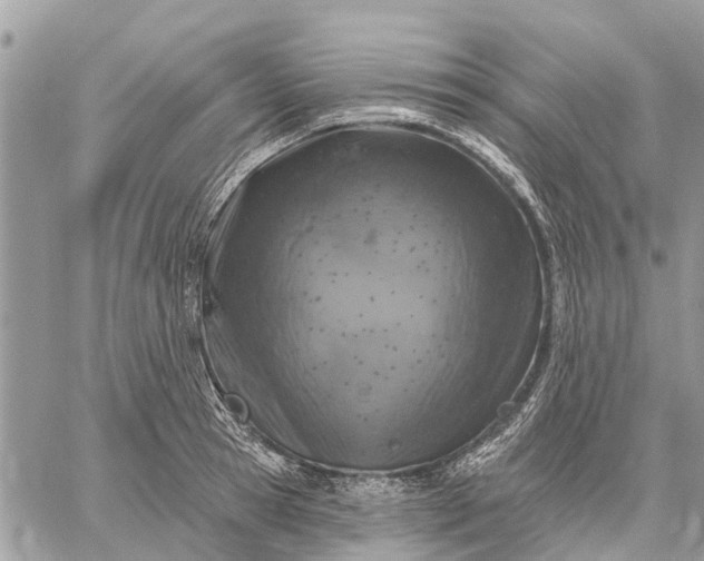 X0000059100945200510211629