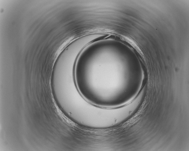 X0000059100946200510211629