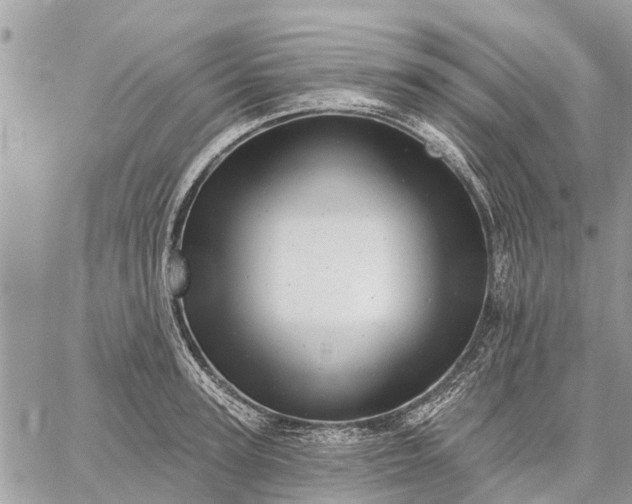 X0000059100947200510211629