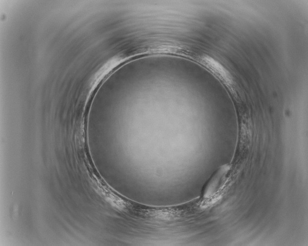 X0000059100948200510211629