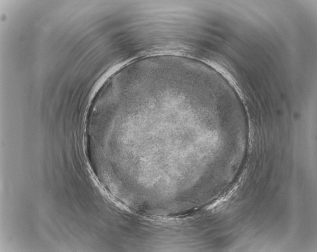 X0000059100949200510211629