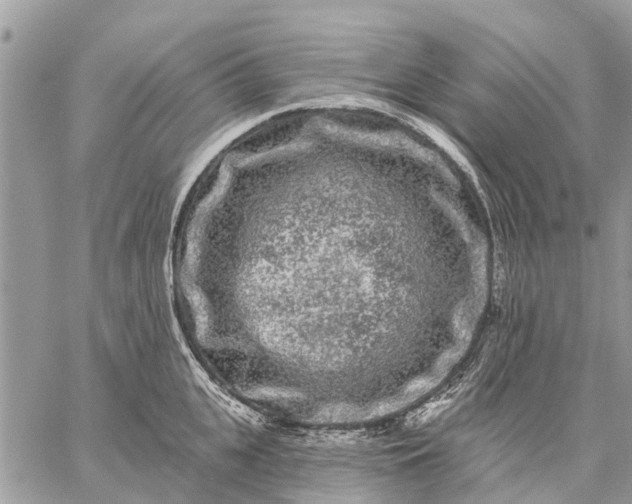 X0000059100951200510211629