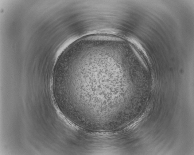 X0000059100952200510211629