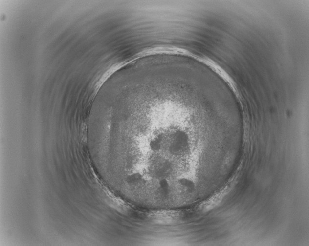 X0000059100953200510211629