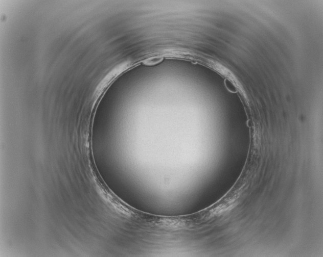 X0000059100954200510211629