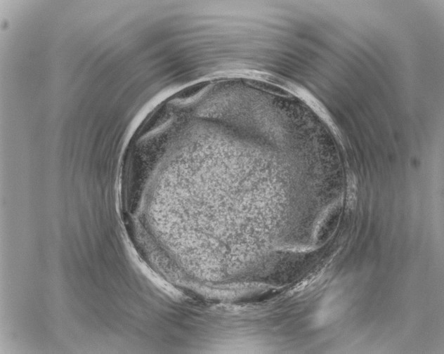 X0000059100955200510211629