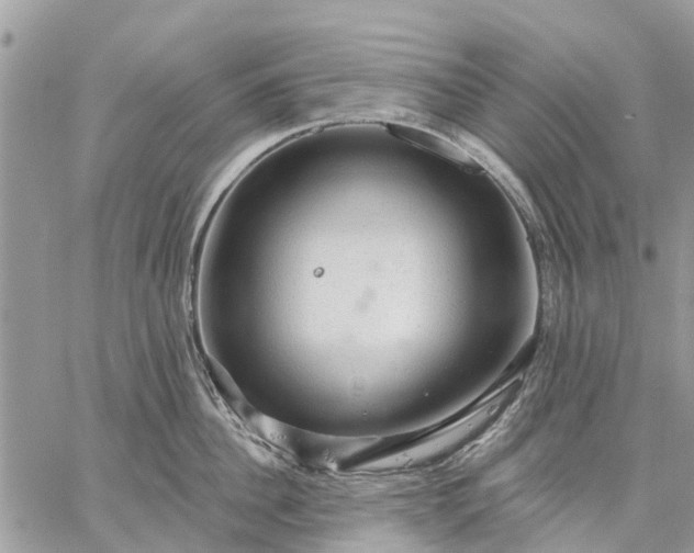 X0000059100956200510211629