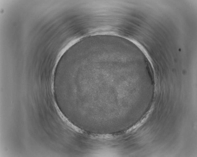 X0000059100957200510211629