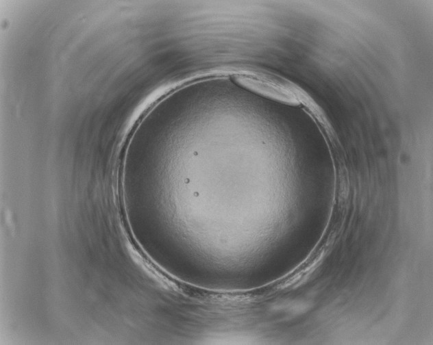 X0000059100958200510211629