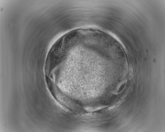 X0000059100959200510211629