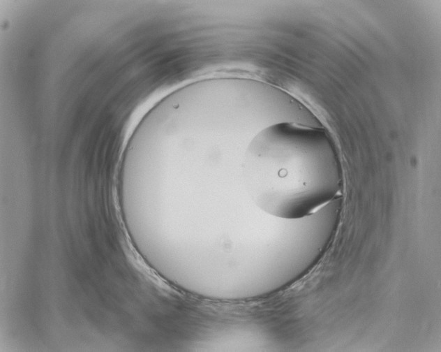 X0000059100960200510211629