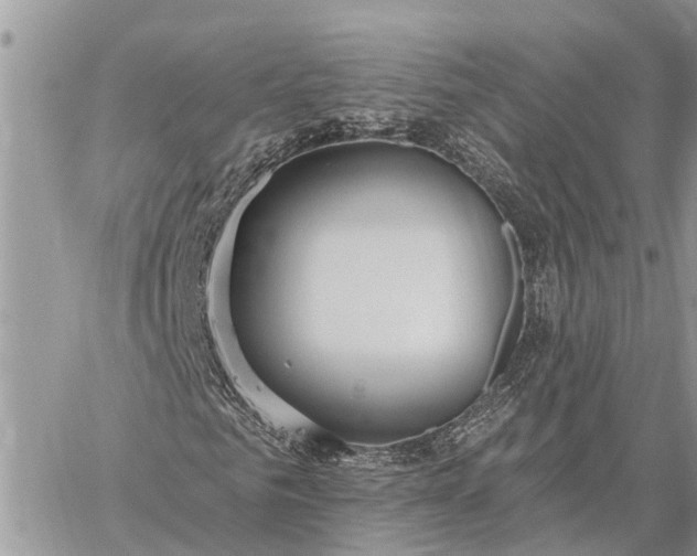 X0000059100961200510211628