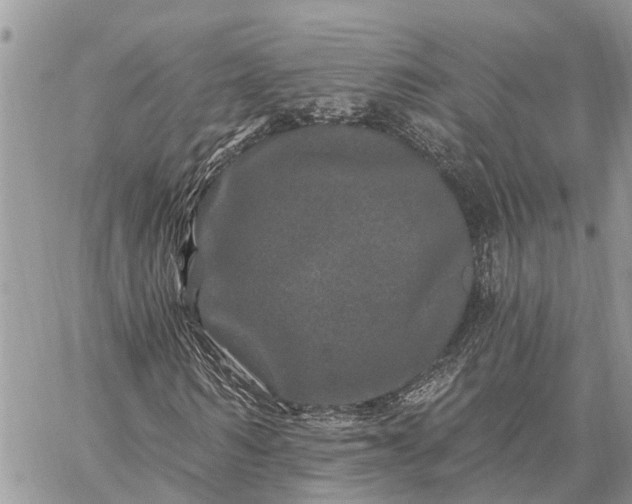 X0000059100962200510211628