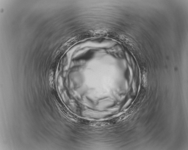 X0000059100963200510211628