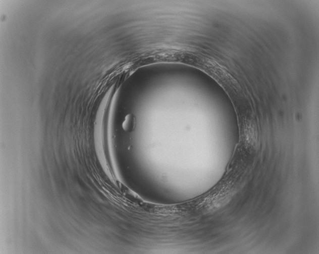 X0000059100964200510211628