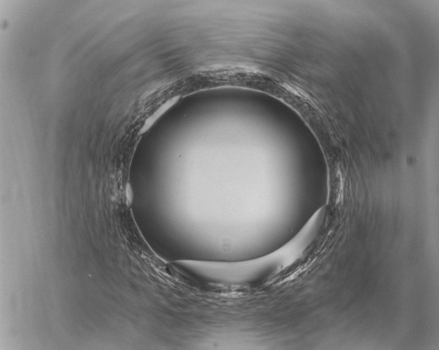 X0000059100965200510211628